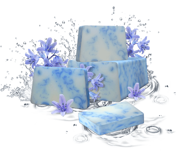 Sapone