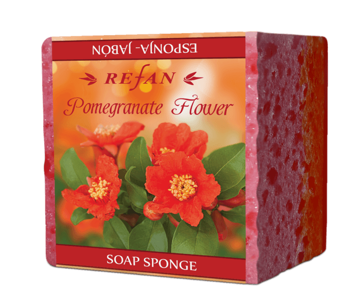 Sapone-spugna
